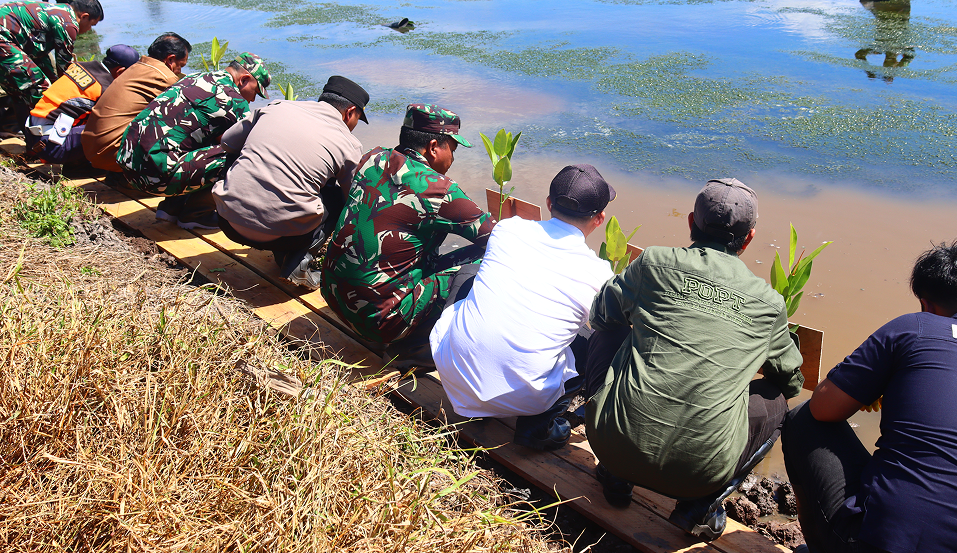PENANAMAN MANGROVE HUT KE-67 KODAM VI/MULAWARMAN DI KELURAHAN MUARA JAWA ILIR : "DENGAN SEMANGAT BAJA SIAP MENGAWAL PEMBANGUNAN MENUJU INDONESIA EMAS" 6 IMG 1614